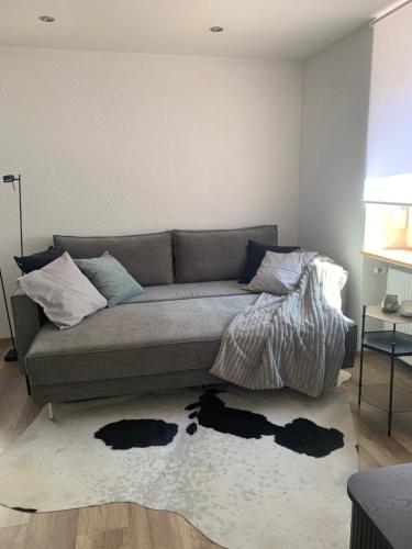 een woonkamer met een bank en een tapijt bij Nibelungen Boardinghouse 1 Zimmer Apartment in Lindenfels