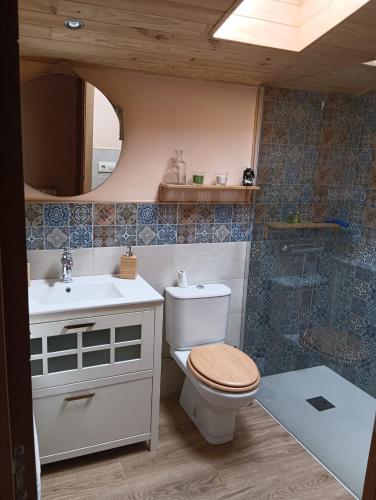 a bathroom with a toilet and a sink and a shower at Casa rural TIO PEDRITO in Robledillo