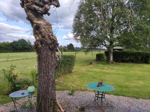 Un árbol y dos mesas en un patio. en Voitures et nature, en Stavelot