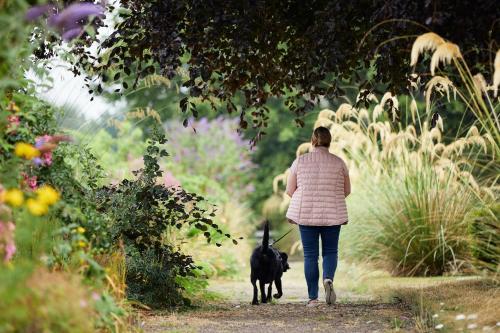 a woman walking a dog down a path at Ednam House Hotel in Kelso