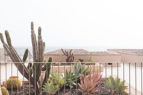 Casa Medano Apartment, in front of the beach