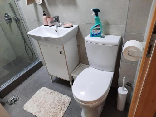 Salle de bains dans l'établissement Biser Dunava -- Pearl of Danube Apartment