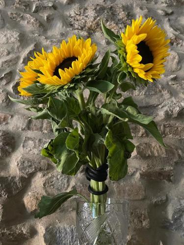 a vase with yellow sunflowers in it at Torre dell’Angelo B&B in Desenzano del Garda