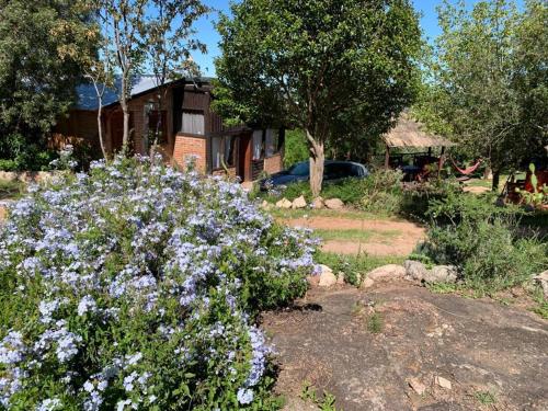 Fotografie z fotogalerie ubytování Pachamama cabañas en la montaña v destinaci Mina Clavero