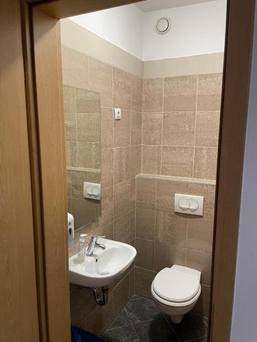 a bathroom with a toilet and a sink at BDA Budapest Downtown Apartment in Budapest