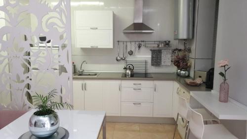 una cocina con armarios blancos y una maceta sobre una mesa en Apartamento Los Padrinos, en Córdoba