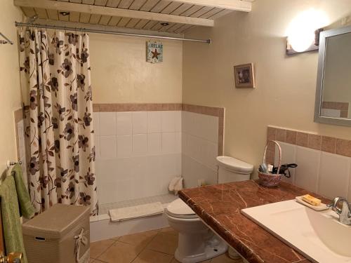 a bathroom with a toilet and a sink and a shower at Vista Mare in Dickenson Bay