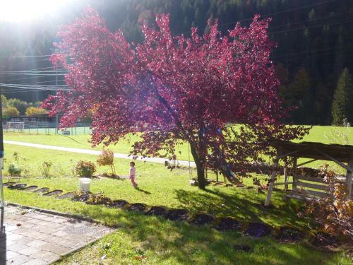 a person standing under a pink tree in a field at Haus Ausserbach in Gaschurn