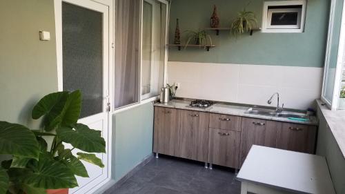 Kuchyň nebo kuchyňský kout v ubytování Guest House Green Rose