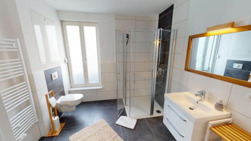 a bathroom with a toilet sink and a shower at Travel Art Boardinghouse (Lazarettstr.) in Neuruppin