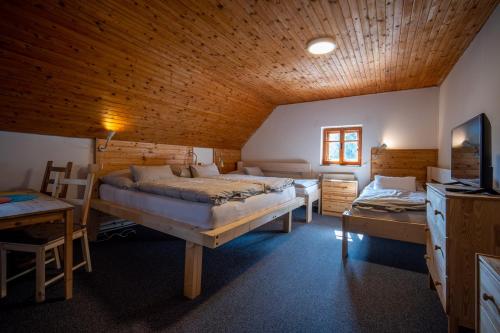 a bedroom with two beds in a room with a wooden ceiling at Penzion Koucký in Bedřichov