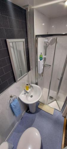 een badkamer met een toilet, een wastafel en een douche bij Cala Sith Guesthouse in Port Ellen