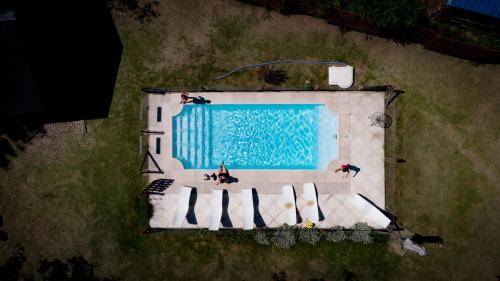 an overhead view of a swimming pool with three dogs at Rancho Pampa in Villa Ciudad Parque