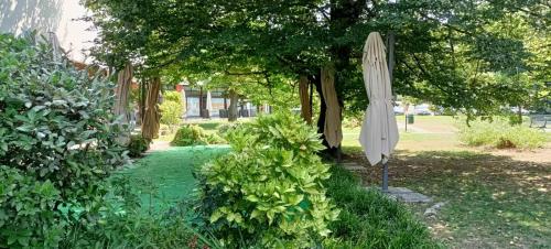 a umbrella in a garden next to some bushes at Appartamento DeLuxe con parcheggio gratuito in Segrate