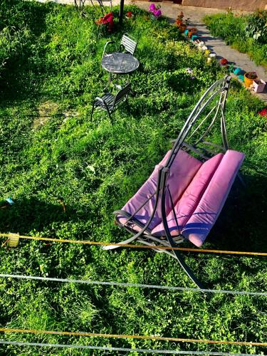 a purple lawn chair sitting on the grass at Guest house chavchavadze N23 in Stepantsminda