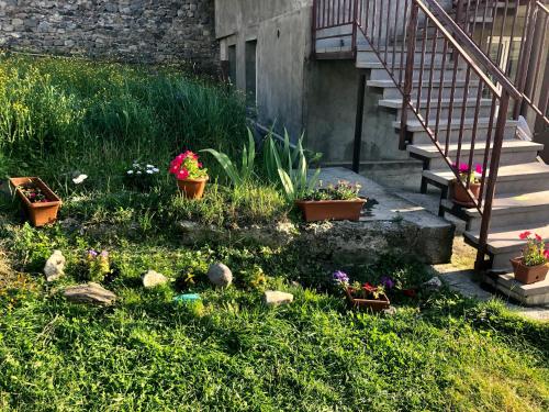 a garden with potted plants on the grass next to a staircase at Guest house chavchavadze N23 in Stepantsminda