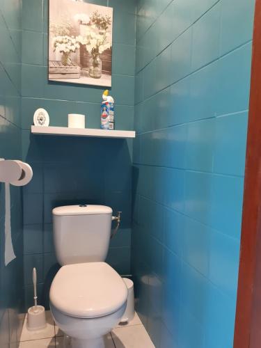 baño con aseo y paredes azules en Les Lierrres, en Cilaos