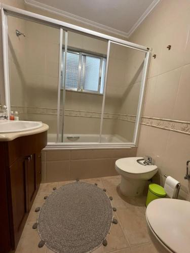 a bathroom with a shower and a toilet and a sink at A Casiña De Abaixo in A Guarda