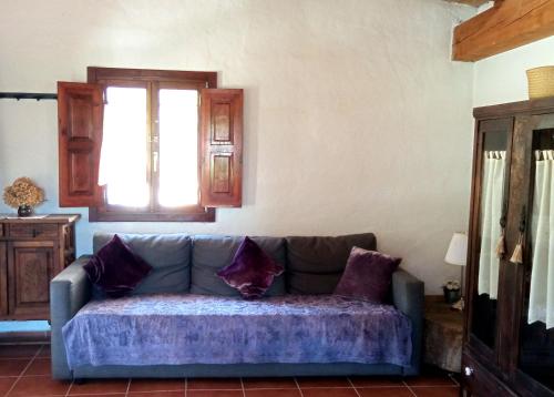 a blue couch in a living room with a window at Belaustegi turismo rural in Ispáster