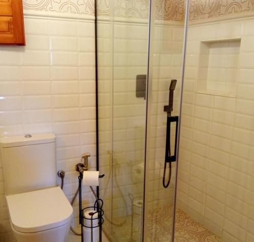 a bathroom with a toilet and a glass shower at Belaustegi turismo rural in Ispáster