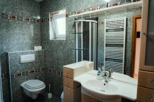 ein Badezimmer mit einem WC, einem Waschbecken und einem Spiegel in der Unterkunft Apartments Rozić in Mostar