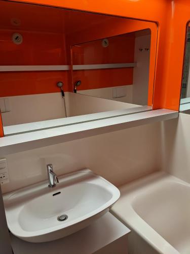 une salle de bain avec un lavabo et un miroir dans l'établissement Studio rénové centre station Vallandry, à Landry