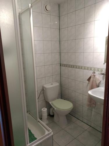 a small bathroom with a toilet and a sink at Baltazar in Łeba