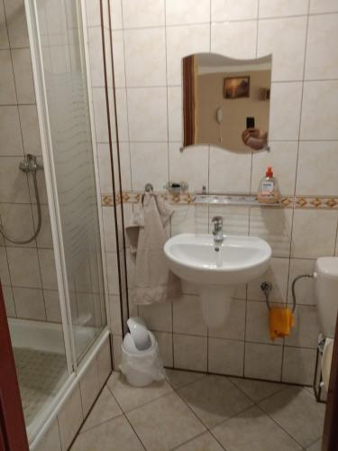 a bathroom with a sink and a shower at Baltazar in Łeba