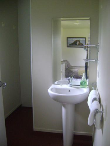 a bathroom with a white sink and a mirror at Catlins Newhaven Holiday Park in Owaka
