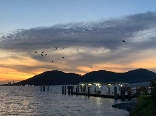 a group of birds flying over a dock in the water at Glossy Marina Homestays in Lumut