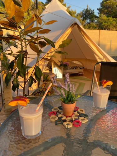 Fotografia z galérie ubytovania Ancora Zara Glamping experience v destinácii Zadar