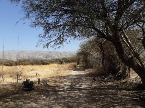 Posada los arboles – Photos 4