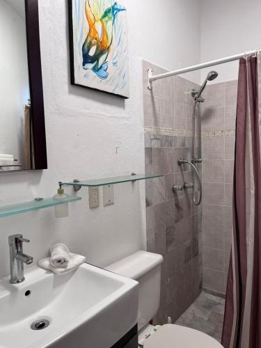 a bathroom with a sink and a toilet and a shower at Aventura Pacifico Boutique Suites & Villas in Bucerías