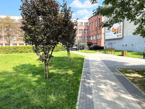 chodnik z drzewami w trawie obok budynku w obiekcie White Apartments - Free parking w mieście Katowice