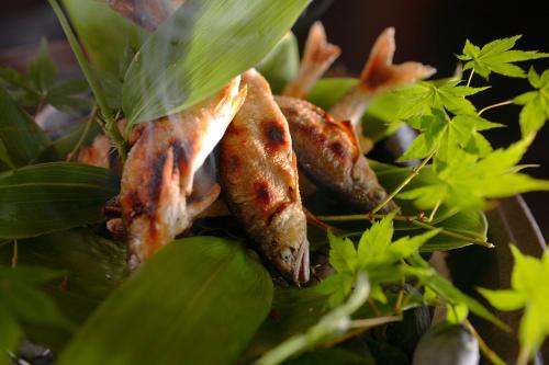 a close up of a plant with leaves at Sakaeya in Yamanouchi
