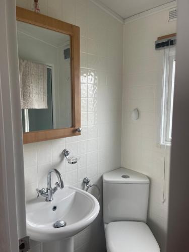 a bathroom with a toilet and a sink and a mirror at Immaculate 2-Bed Lodge in Monreith in Newton Stewart
