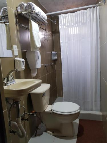 y baño con aseo, lavabo y ducha. en Hermoso Departamento en Texcoco centro con wifi cocina, en Texcoco de Mora