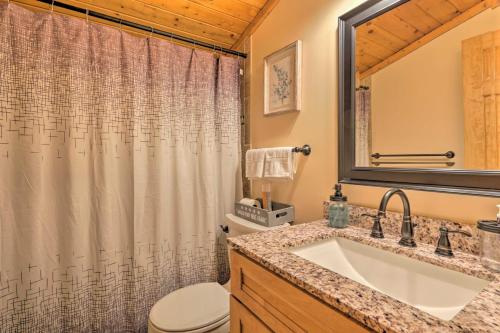 a bathroom with a sink and a toilet and a shower at Secluded Leesburg Retreat with Private Hot Tub! in Middleburg