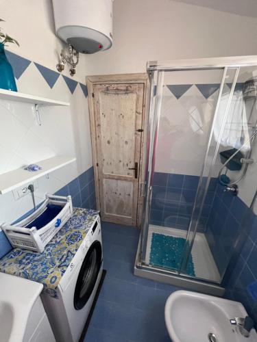 eine Waschmaschine im Bad mit Dusche in der Unterkunft DOMUS HENRICUS -THREEROOM APARTMENT IN PORTO POLLO 400 Meters from the sea in Porto Pollo