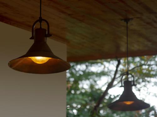 two lights hanging from a ceiling with trees in the background at Blanca María in San Francisco
