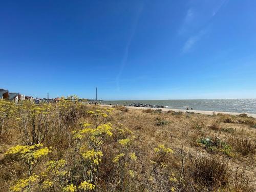 a beach with yellow flowers and the ocean at Luxurious Beach House with spectacular sea views in Felixstowe