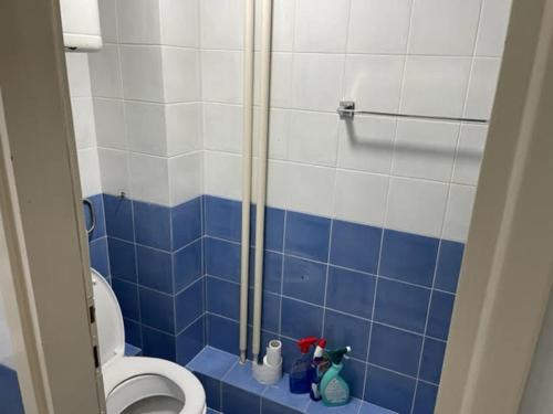 uma casa de banho com chuveiro, WC e azulejos azuis em CITY CENTER DUPLEX em Belgrado