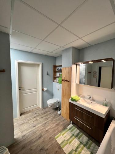 a bathroom with a sink and a toilet and a mirror at Haus Krönchen in Tanne