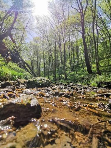 Landskap semula jadi dekat dengan chalet