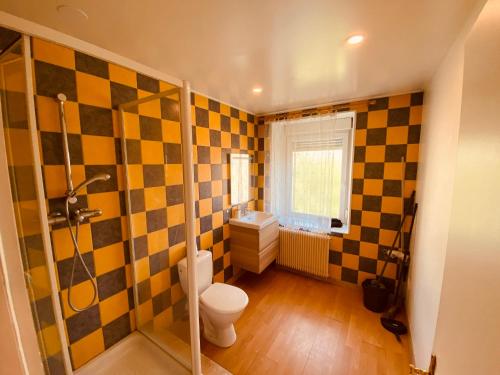 a bathroom with a toilet and a shower and a sink at PETiT MULHOUSE 201 in Mulhouse