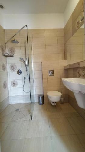 a bathroom with a shower and a toilet and a sink at Wisełka Studio in Wisełka