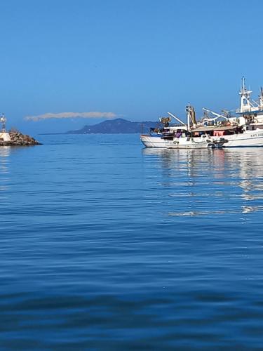 two boats are docked in a large body of water at POLA HOME in Nea Skioni