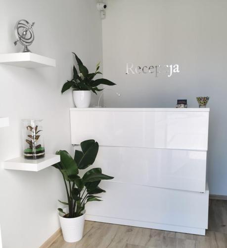 a white desk with potted plants on it at Mile Gdansk Airport & Parking Długoterminowy in Gdańsk