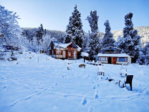 Fotografie z fotogalerie ubytování Zevibes Cafe & Homestay v destinaci Kalgha