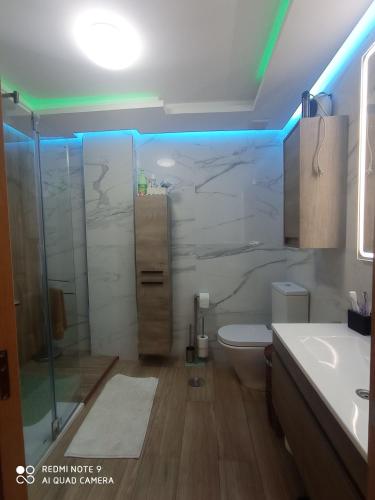 a bathroom with a shower and a toilet and a sink at La Aracelitana in Lucena